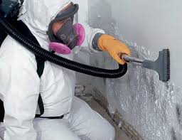 Asbestos and Lead Testing During Mold Inspection in Nome, AK